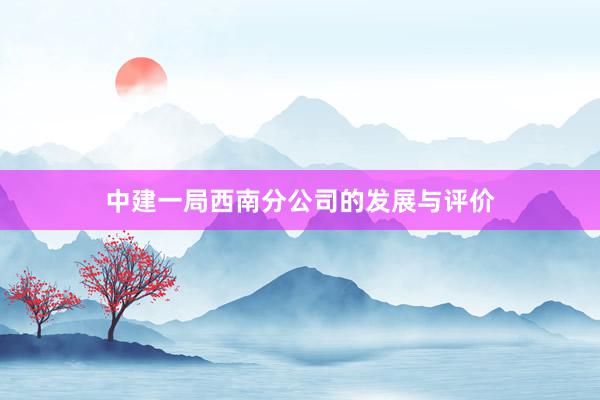中建一局西南分公司的发展与评价