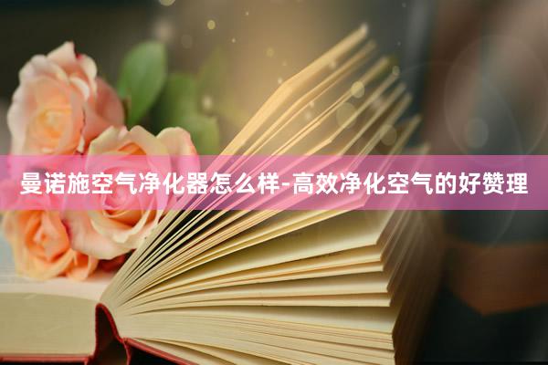 曼诺施空气净化器怎么样-高效净化空气的好赞理