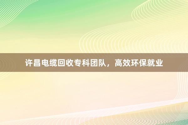 许昌电缆回收专科团队，高效环保就业